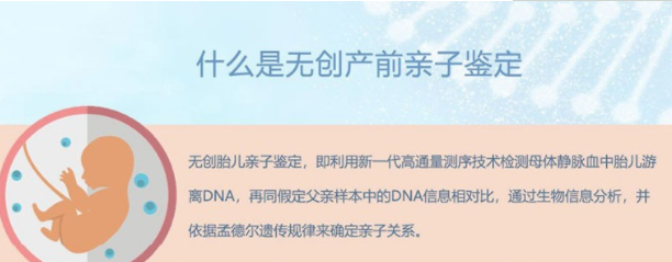 眉山胎儿亲子鉴定需要什么材料和流程,眉山产前亲子鉴定要如何办理